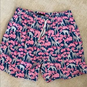 Allen Edmonds swim trunks